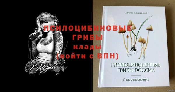 дмт Абинск