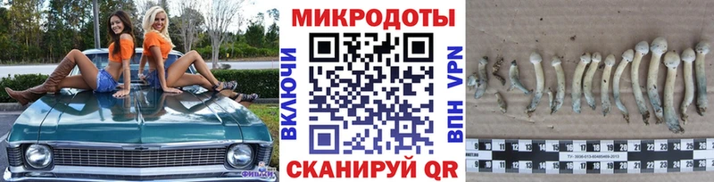 Псилоцибиновые грибы ЛСД  blacksprut зеркало  Ханты-Мансийск 